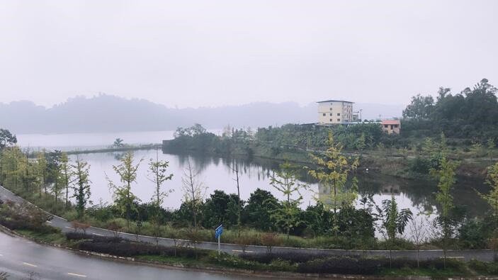 風(fēng)景展示